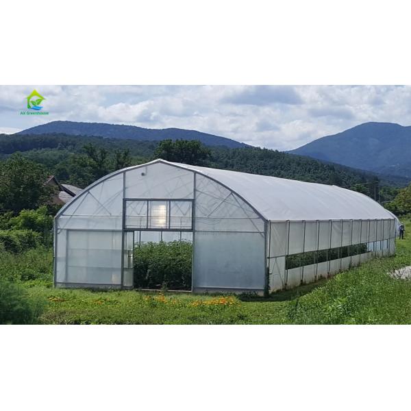 single-span film tunnel greenhouse