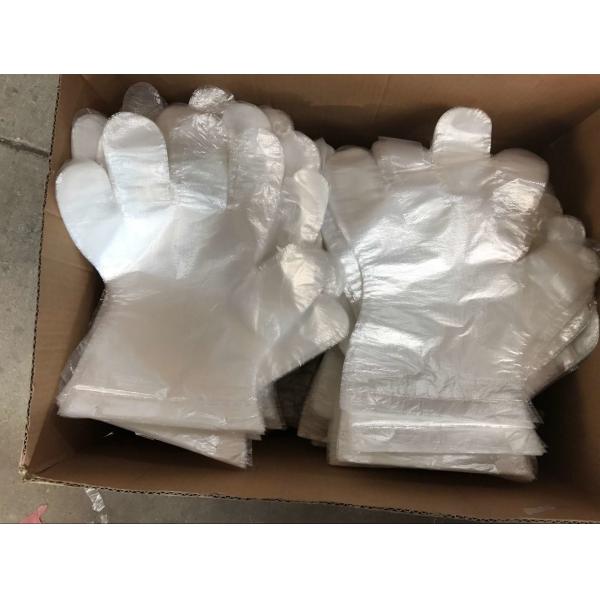 Buy Embossed Disposable Plastic Gloves For Medical Checking / Food Handling at wholesale prices