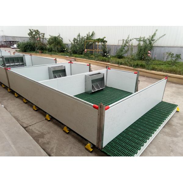Customized Size Pig Farm Equipment Farrowing Crate For Sow / Piglet High Performance