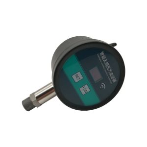 Digital Pressure Gauges