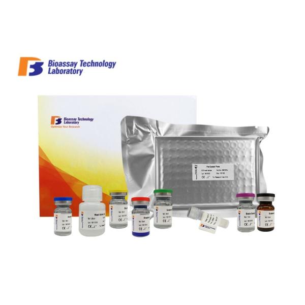 Customized Porcine ACTH Sandwich ELISA Kit / Adrenocorticotropic Hormone ELISA
