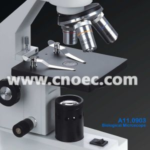 Binocular / Monocular Biological Microscope White For Student A11.0903