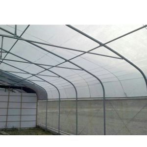 275gsm Zinc Coated Steel Pipe Greenhouse With Agricultural Plastic Film