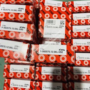 FAG , F-563575 , F-563575.12.SKL-H192 Double Row Differential Bearing Nylon