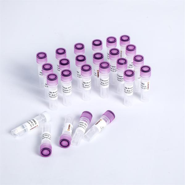 PCR NGS Library Construction UDI UMI Adapters Primers For Illumina K003-A K003-B K003-C K003-D