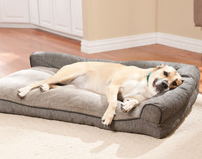 Buy Waterproof  orthopedic dog bed ,Large Washable Memory Foam pet Bed , Outdoor Memory Foam Dog Bed at wholesale prices