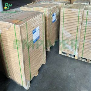 High Temperature Resistance 40gsm Coffee Cupcake Paper Roll Greaseproof