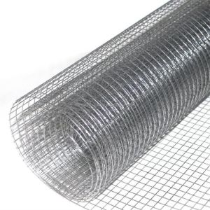 Galvanized Welded Wire Mesh Roll 1cm 2cm Grid 1x20m Wall Anti Crack Welded Wire
