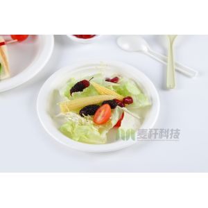 Disposable Sugarcane Bagasse Dishes Compostable Biodegradable Plates Dinnerware