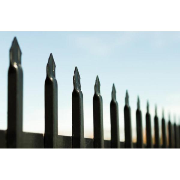 2.4m x 2.4m SHS 65mm tube black garrison garden fence panels