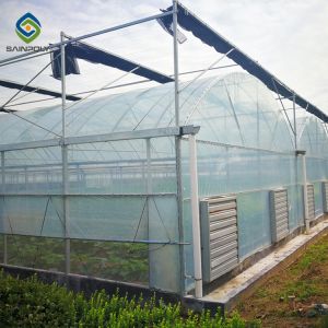 Hydroponic Agriculture Commercial Glass Greenhouse With Shading System