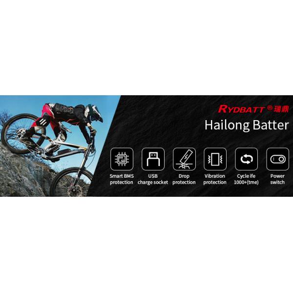 48V 10Ah Hailong Folding Electric Bike Battery 500 Times PC ABS Case