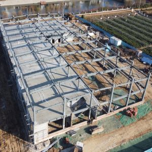 Q355B Multi-Span Prefabricated Steel Structure Industrial Building