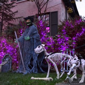 70m Purple LED Christmas Lights / Halloween String Lights Outdoor 300MA 28V