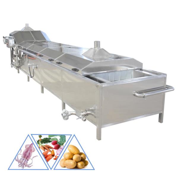 Industrial Food blanching machine customized Nut Peanut Vegetable banana chips potato blanching machines