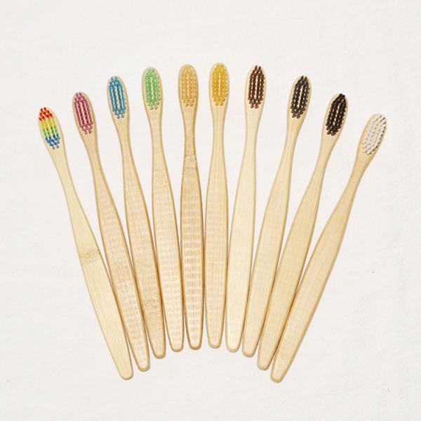 Buy Vegan Truly Eco Friendly  Fully Compostable Toothbrush BPA Free at wholesale prices