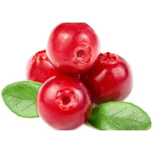 High quality Cranberry Powder for drinks Cranberry juice powder