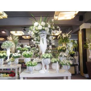 Xiamen Fusihua Imp. & Exp. Co., Ltd.