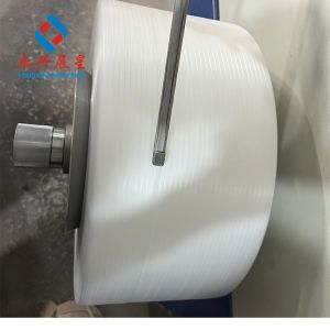 Single Screw 12mm PP Strapping Roll Manufacturing Machine Sandwich