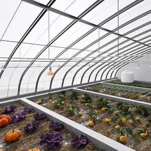 Commercial Tomato Growing Sunlight Greenhouse With Shipping Cost And Design