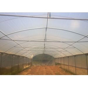 Single Span Greenhouse 8-12m Wide with 90mph Wind Resistance