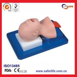 Stock Comprehensive emergency skills training neonate trachea tubing training