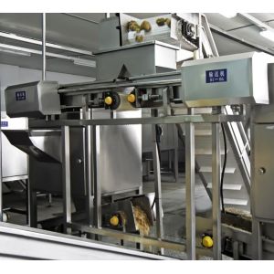 Fruit And Vegetable Washer Machine , Vegetable Processing Unit Intelligent