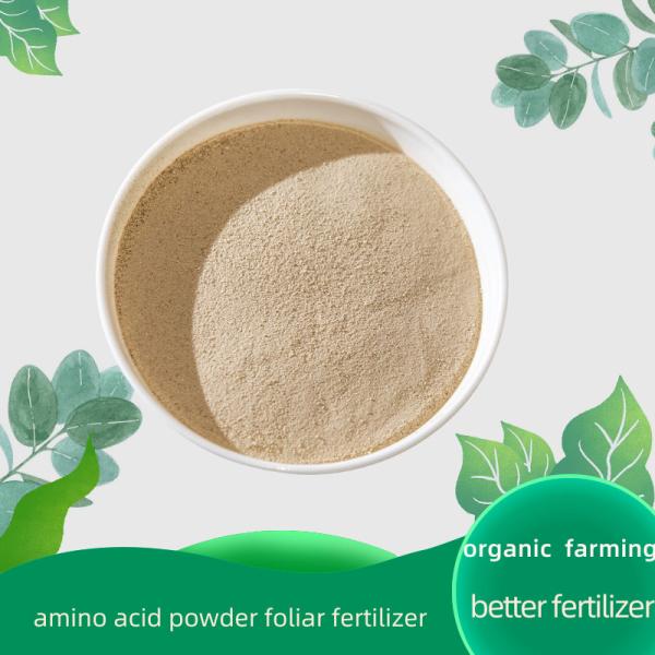 Micronutrients 100% Soluble Amino Acid Plant Fertilizer With Active Ingredient