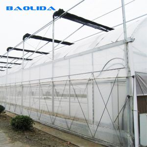 Side Ventilation Clear Multi Span Greenhouse With Outside Shading System