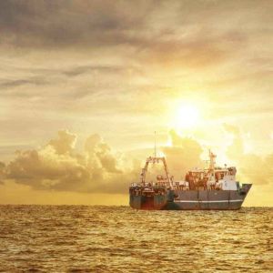 China to Ireland LCL+Express Shipping with Customs Clearance