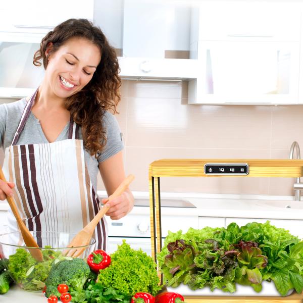 Buy LED Growth Light Home Intelligent Hydroponic Vegetable Flower Planting System at wholesale prices