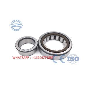 Steel Industry NJ244 Nup244 Cylindrical Roller Bearing