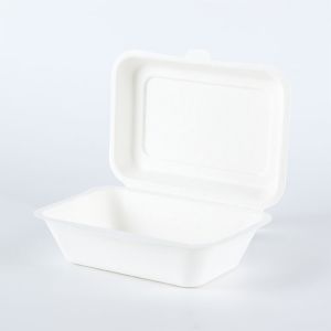 600ml sugar cane bagasse compostable takeout lunch box