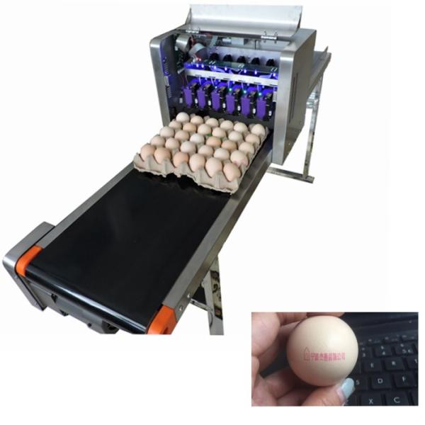Multiple Nozzle Egg Batch Code Printing Machine With 0 - 5mm Printing Distance