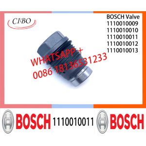 Pressure relief valve 1110010011 1110010010 1110010018 1110010019 1110010014 1110010015