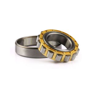 ZH Bearing N1008-K-M1-SP Cylindrical Roller Bearing NU1008M N1008 size 40*68