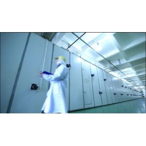 Healthy Food Crispy Dried Fruits and Vegetables Mixed Snacks Fried Sweet Potato