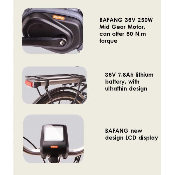 250W 36V Urban City Electric Bike 7.8Ah Samsung Cells