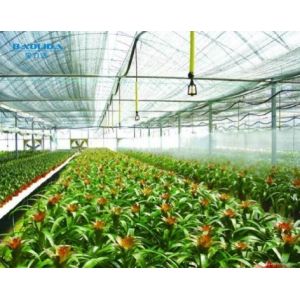 Ventilation Tempered Glass Hot Galvanized Insulated Venlo Type Greenhouse