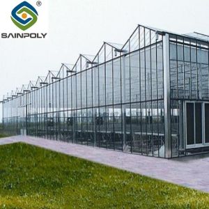 China Agriculture Aluminum Roof Multi Span Greenhouse Commercial Glass Greenhouse on sale