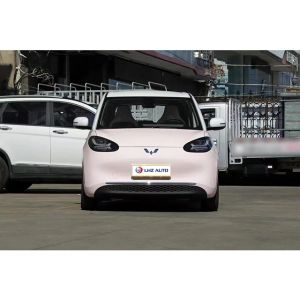 Wuling Motors 2024 Energy Vehicle Prices for Left Steering Lithium Ion Battery