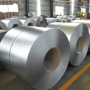 ASTM DC01 DC02 Galvanized Gi Steel Coils Hot Rolled St37 Dx51d Z100