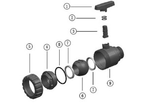 Popular Male and Female Plastic Single Union Valve
