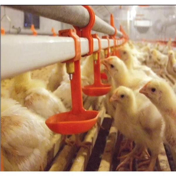 Buy Bird Quail Chicken Nipple Drinker System 3 Months Warranty at wholesale prices