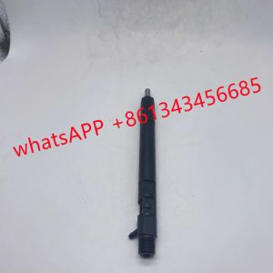 EJBR02901D Delphi Diesel Fuel Injectors