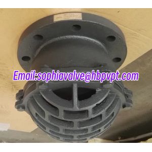 BS4504 PN10/16 EPDM flanged foot valve