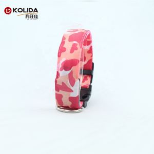 Luminescent Waterproof Lighted Dog Collar , Safety Glow Dog Collar Leash