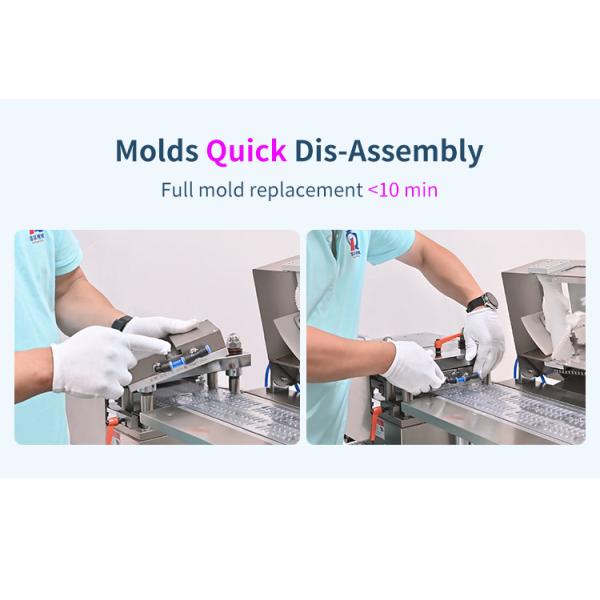 Molds Quick Dis-Assembly