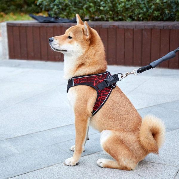 Buy Comfort Puppy Lightweight Padded No Pull Pet Vest at wholesale prices