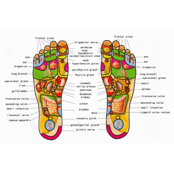 Physiotherapy health Care electric EMS Foot Massager TENS massage Acupuncture Feet Muscle Stimulator